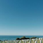 Farewell Introduces Eco-Friendly Funeral